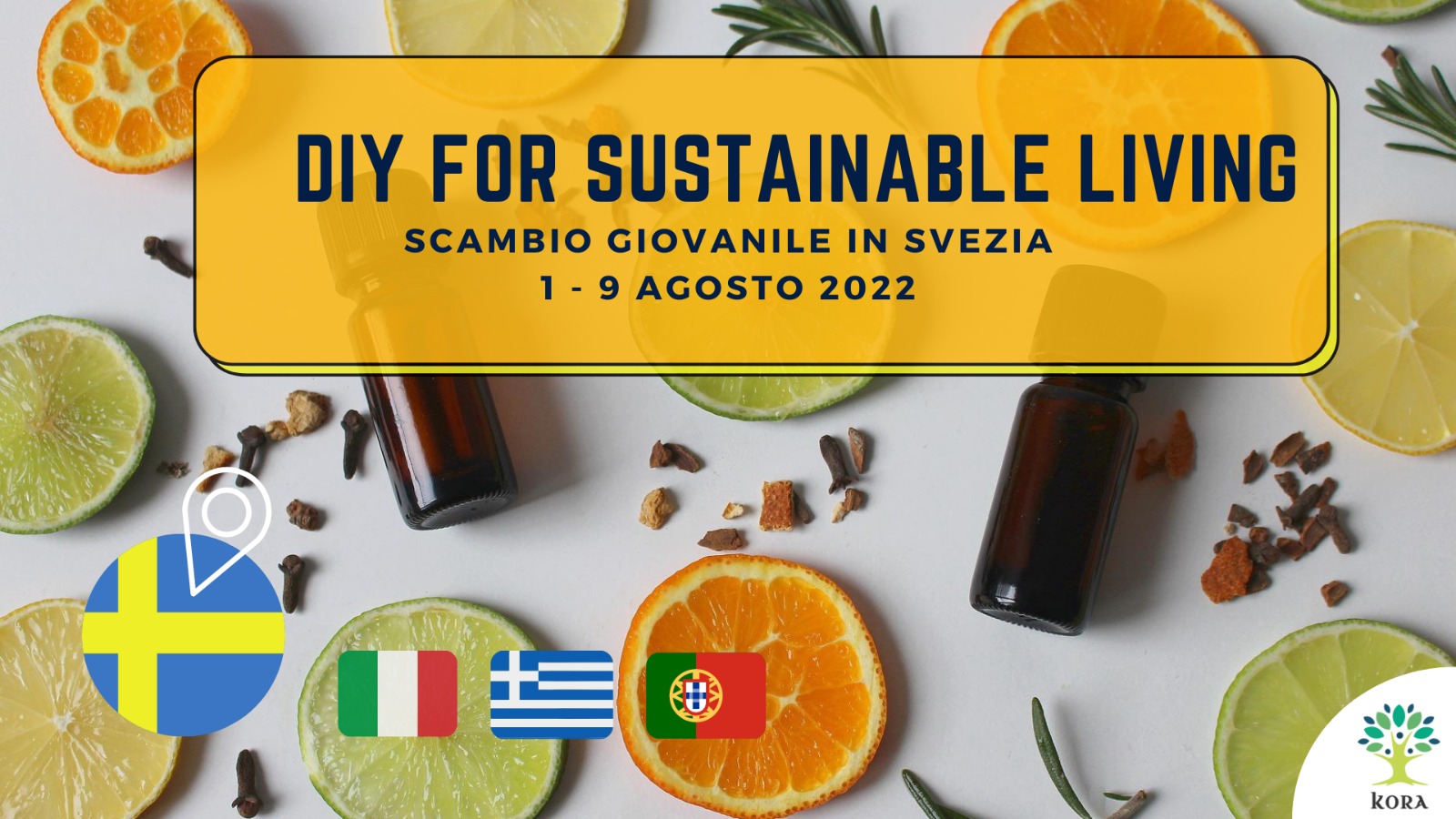 WhatsApp Image 2022-05-31 at 16.50.48