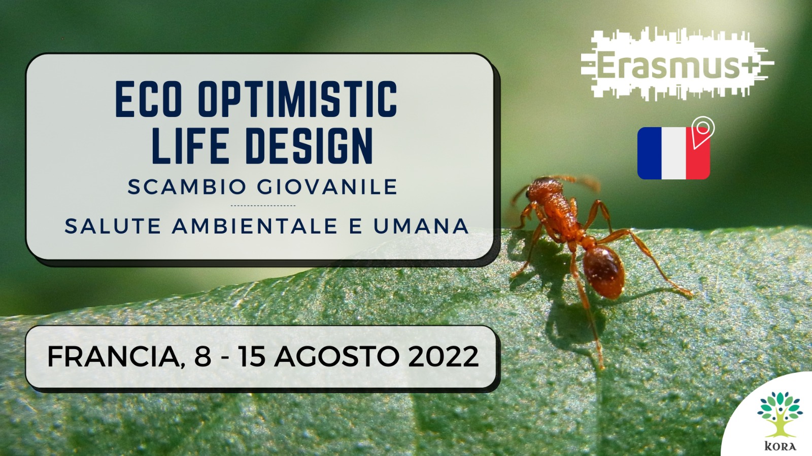 WhatsApp Image 2022-06-03 at 12.50.13