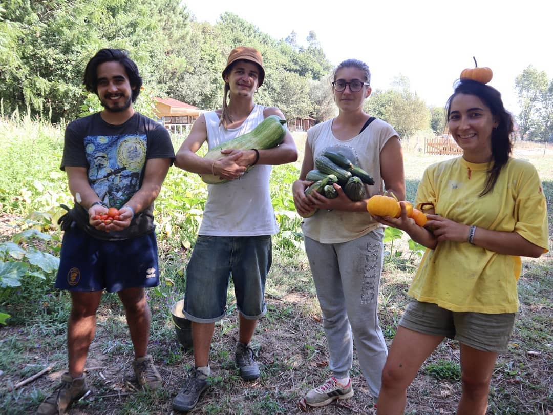 116559147_2640241269624868_6189623681294046297_n-2