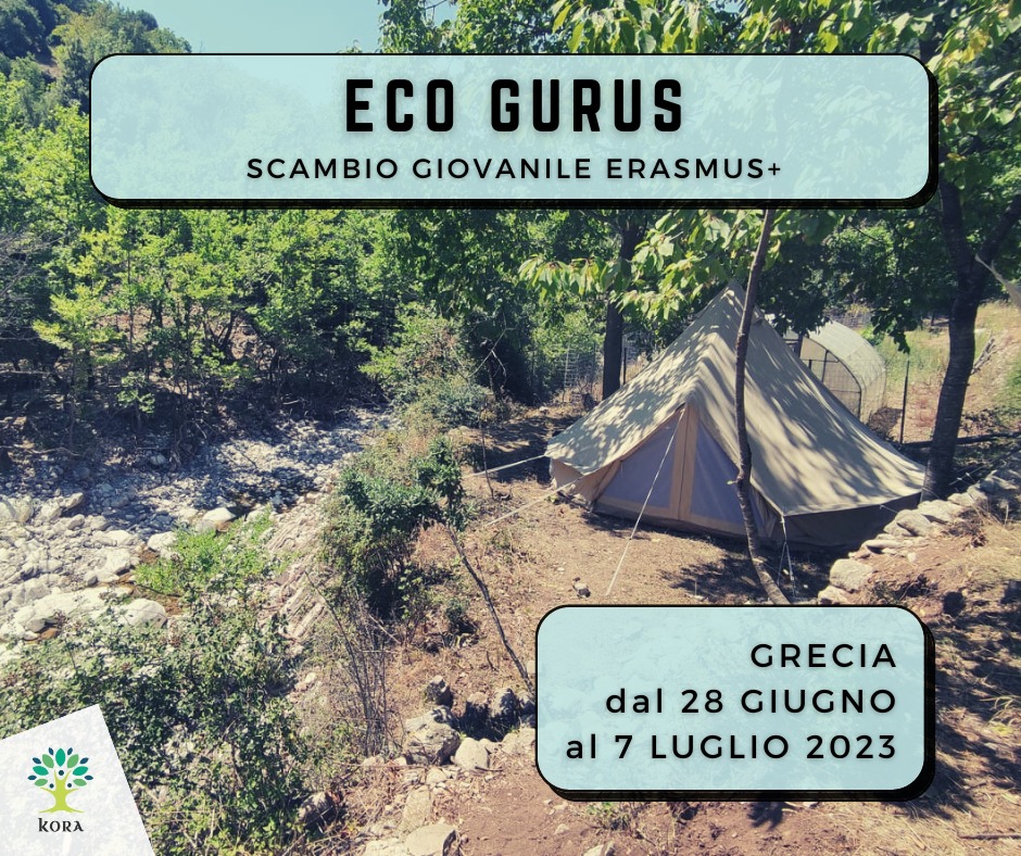 WhatsApp Image 2023-04-05 at 15.34.50 (1)