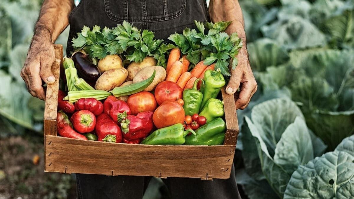 400035827_724278346405312_4265308717136343673_n