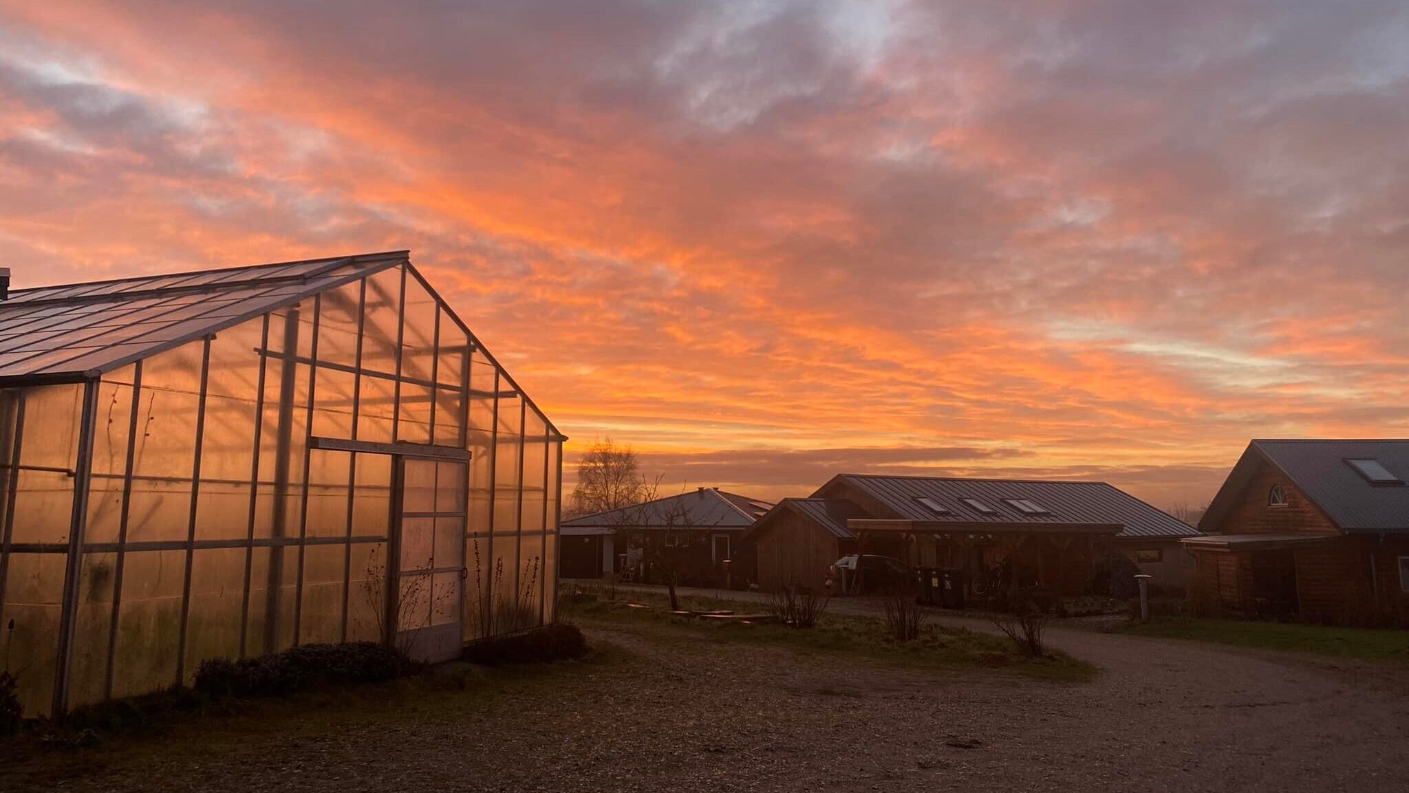 271646954_4598436210224730_4474200364207811991_n