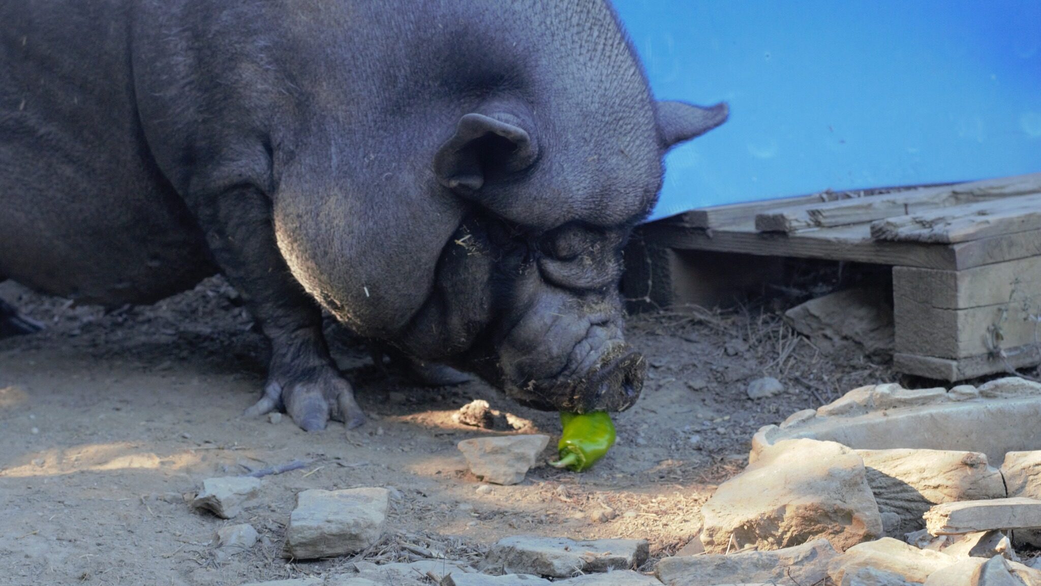 384512144_673685398189449_3104510161126057983_n