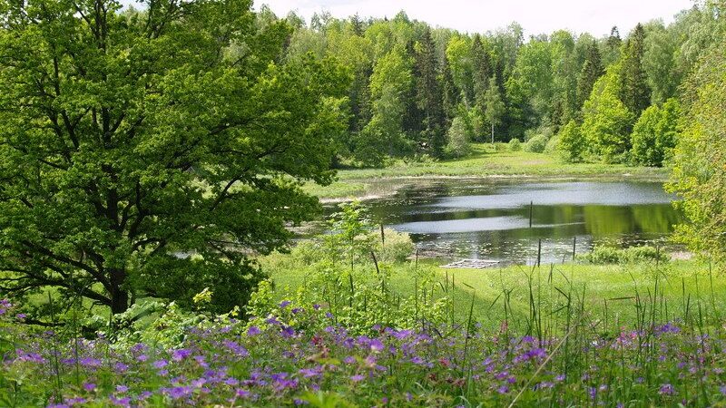 TalsuTIC_talsu_pauguraine_macitajmuiza